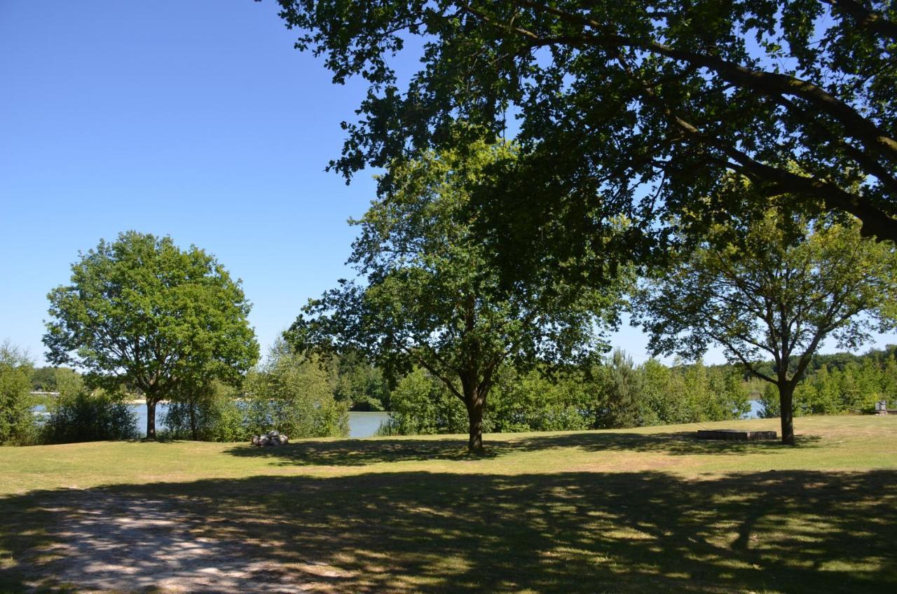 Drents Genieten - Lavendelheide Met Uitzicht Op Het Water Erm Bagian luar foto