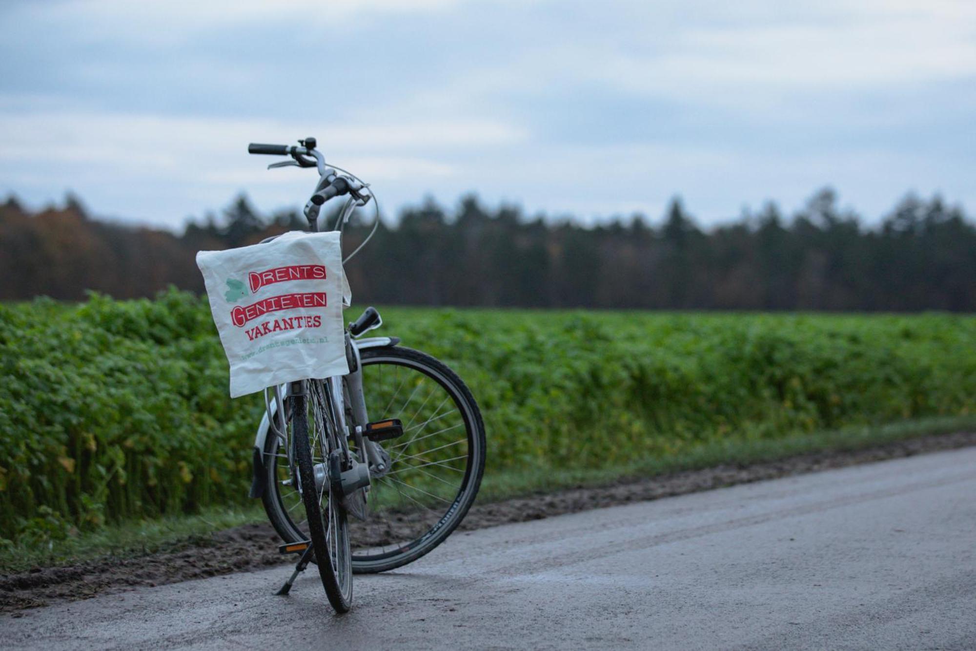 Drents Genieten - Lavendelheide Met Uitzicht Op Het Water Erm Bagian luar foto
